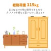 Elecom TS-F009 Earthquake Resistant Fall Prevention Goods Damper for Furniture