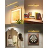 Skairipa 13" Rechargeable Picture Light for Wall with Remote, Gold