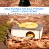 INOSCIND Large Snake Hide with Slate Reptile Hide Box Ball