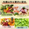 Biodere 30 Day Supply, Butyric Acid Bacteria, Bifidobacteria, Yeast, Lactobacillus