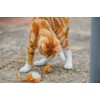 Petface Feather Tail Mice Cat Toy, Pack of 2