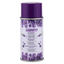 Evergreen Labs Air Freshener with Secret Compartment: Your Ultimate Money Hideaway - Perfect Hiding Place for Valuables at Home or Travel! Large Secret Hideaway 6cm x 13cm