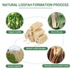 Natural Loofah Slices for Soap Making-20 Pack Organic Luffa Cuts