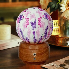 CXTVOVZSSY 4.7 inch LED Night Light, 7 Color Changing Moon Lamp USB Rechargeable, Music Moon Light Touch Control, Bedroom Nursery Home Decor for Women Girls Birthday Gifts, Butterfly Design