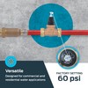 Cash Acme EB45 Pressure Regulating Valve, Double Union, 1/2 Inch