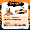 Halloween Light Up Dog Collar, LED Dog Collar Glow in