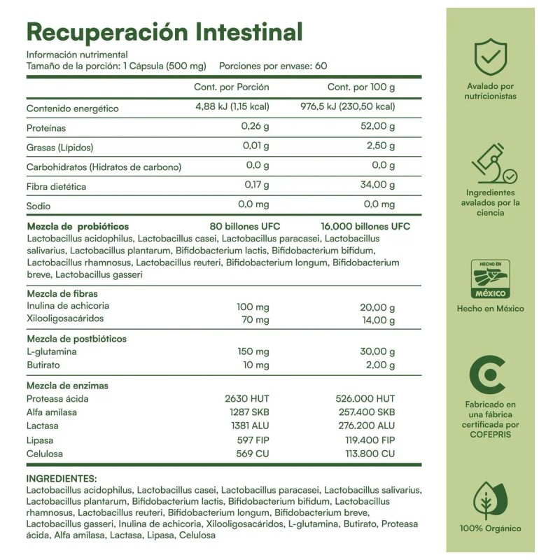 Zesty Nutrition Recuperación Intestinal Prebióticos Probióticos Postbióticos Enzimas Hinchazón Digestión