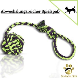 Golden Pets Hundespielzeug 4-teiliges Set I Ideal für kleine bis mittelgroße Hunde und Welpen I Aus natürlichen hochwertigen Baumwollfasern I + Gratis Pflegehandbuch