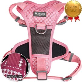 Blueberry Pet Soft & Comfy Reflective Mesh Padded No Pull Dog Harness Vest in Pink, Medium, Adjustable Harnesses for Dogs