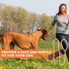 Slip Lead for Dogs,Anti Pull Dog Lead with Comfy Handle