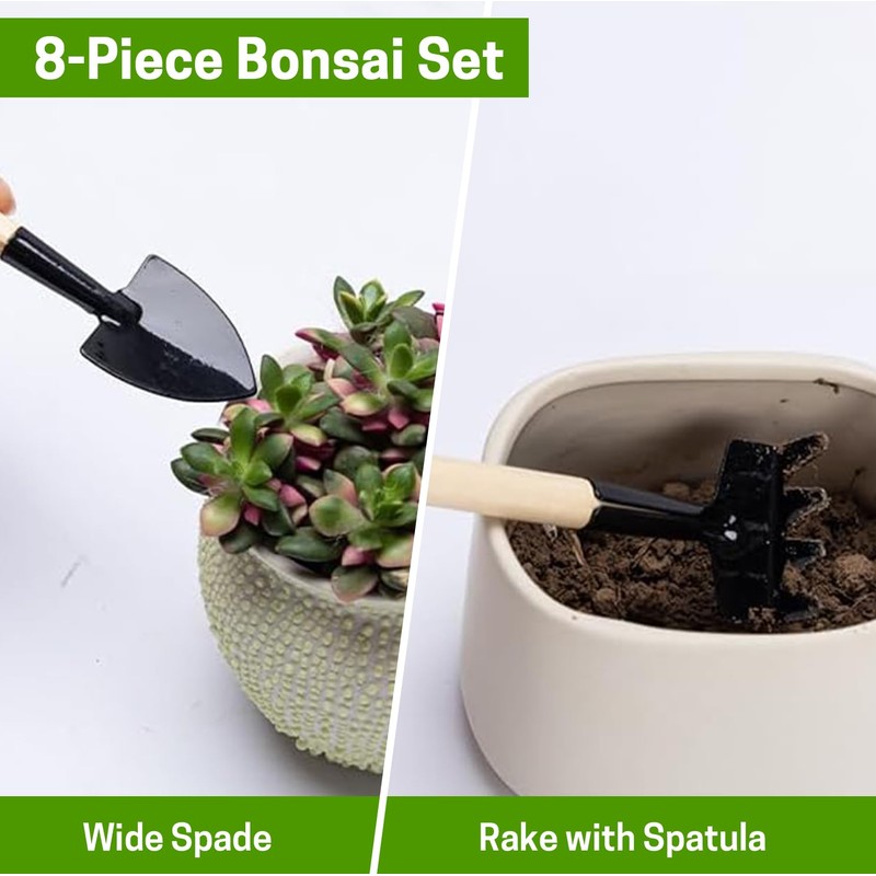 Bonsai Set 8 Pcs - Include Pruner,Fold Scissors,Mini Rake,Bud &