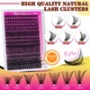 Wispy Eyelash Clusters Pack of 320 Eyelash Clusters 40D Eyelash