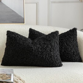 YAERTUN Pack of 2 Faux Fur Throw Pillow Covers Decorative Sherpa Boucle Pillow Covers Fuzzy Soft Pillowcases Sheepskin Fleece Cushion Case for Couch Sofa Bed Living Room 12x20 Inch Black