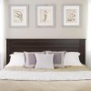Prepac King Flat Panel Headboard in Espresso