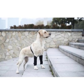 Totogiong Totojiong Dog Leg Braces Dog Knee Pads for Front Legs,Dog Knee Brace,Adjustab