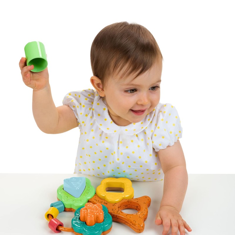 Chicco Baobab Mould Sorter Eco+, 6-36 m