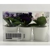 Ikea Fejka Artificial Potted Plant With Pot Set of 3
