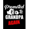 Baby Promoted To Grandpa Again Baby Announcement Notebook: 110 Pages,
