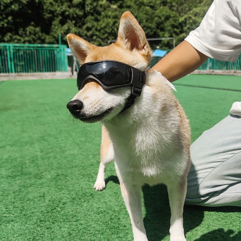 Trirock Dog Sunglasses, Small and Medium Dogs, Goggles, Pet Glasses,