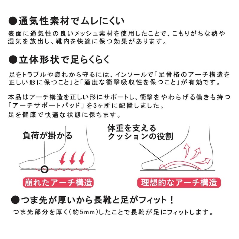 Rakuraku Troops for Wellington (9.4 - 9.8 inches (24.0 -