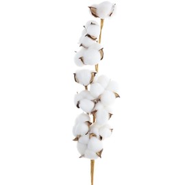 Hampton Art Cotton Stem, 26 1/8", Cotton Stems Decor Branches, Decor, Stems, Flowers, Flowers Decor, Plant Decor Farmhouse