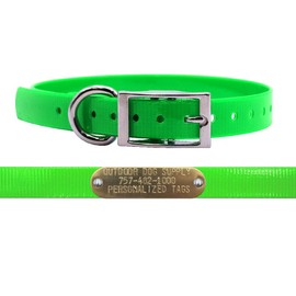 Outdoor Dog Supply 3/4" Wide & 15" Long Solid D Ring Dog Collar Strap with Custom Brass Name Plate (Lime Green)