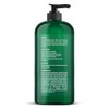 Botanic Hearth- Champú de árbol de té, vitamina C, aceite
