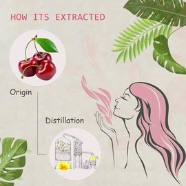 AOPING Cherry Essential Oil - 100% Pure Organic Natural Plant (Prunus avium) Cherry Oil for Diffuser, Aroma, Massage, Perfume, Skin - 0.33oz