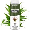 TPS NUTRIENTS Dracaena Fertilizer for All Dracaena Plants and Trees,