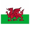 Welsh Dragon National Flag - Multi-Colour