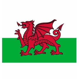 Welsh Dragon National Flag - Multi-Colour