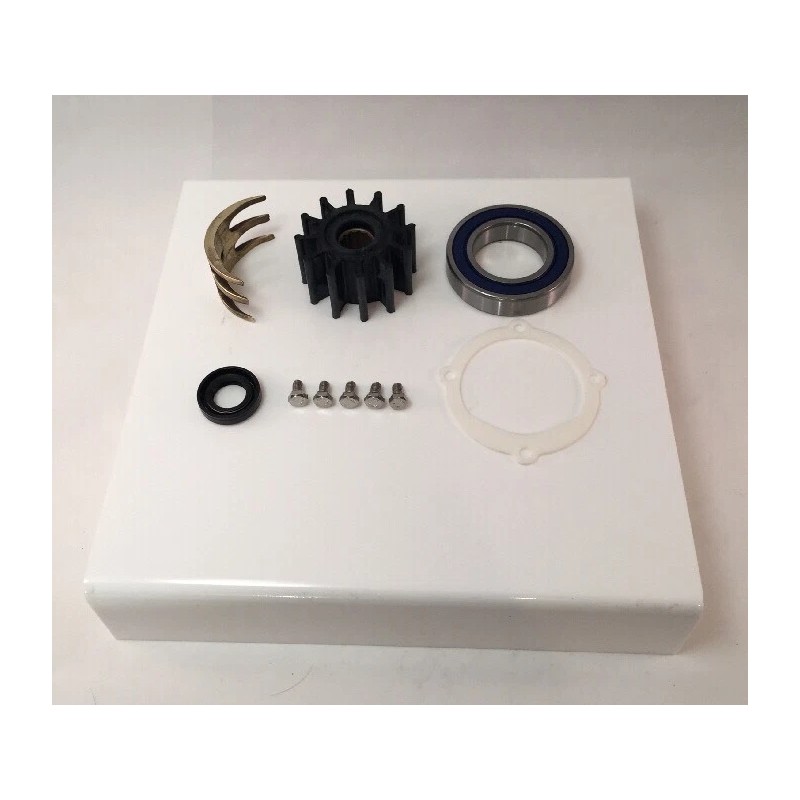 Volvo Penta Raw Water Sea Pump Rebuild Kit 857451 841640