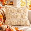 3D Plush Pumpkin Pillow Cover for Fall Decorating – Soft