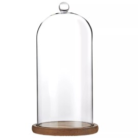 Farmlyn Creek Glass Cloche Dome Bell Jar Display Case with Wooden Base for Pl...