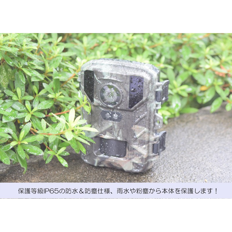 SIGHTRON STR-MiNi800 TT800 Cytron Trail Camera, Infrared, Unmanned Photography Camera