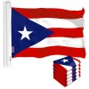 UD_Puerto Rico PR Flag 3x5 Ft 5-Pack 150D Printed Polyester