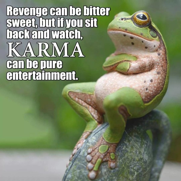 Funny Karma Frog Refrigerator / Fridge / Locker/ Tool Box