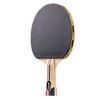 STIGA Blaze and Force Ping Pong Paddle – Hoja de