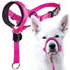 GoodBoy Dog Head Halter with Safety Strap - Stops Heavy