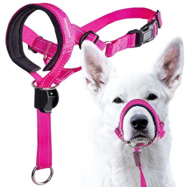 GoodBoy Dog Head Halter with Safety Strap - Stops Heavy