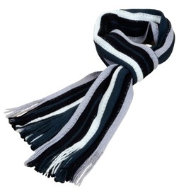 Mens Winter and Fall Cashmere Feel Blue Scarf (Navy Blue)