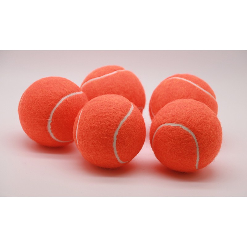 Price's 5 coloured Tennis balls(5)