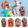 Moqqeu Cat Yarn Bowl Artwork Yarn Holder Dispenser with Hole,