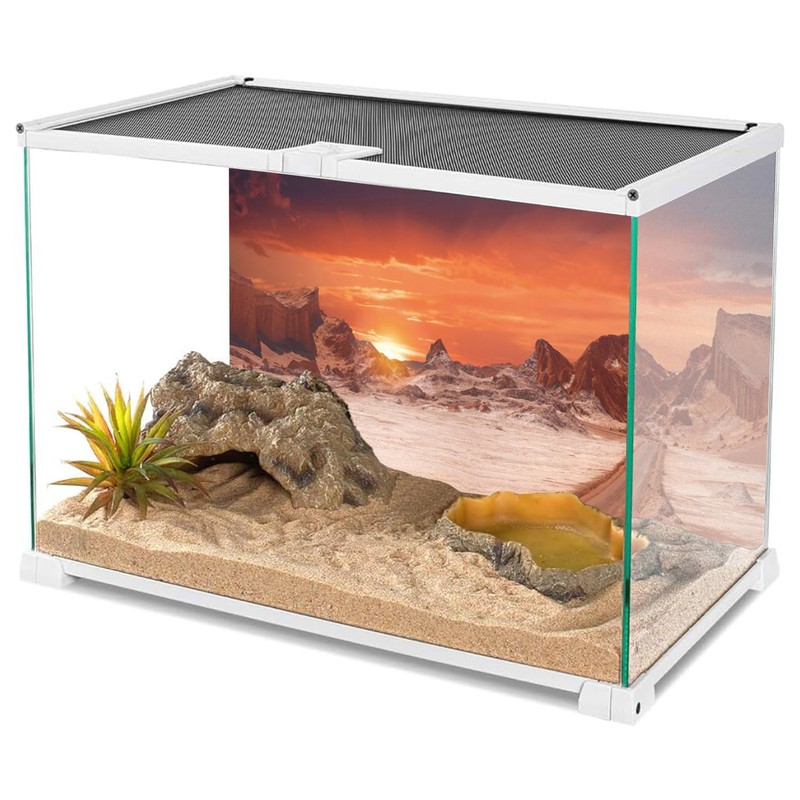 AWERT 48x18 inches Sun and Desert Terrarium Background Orange Reptile