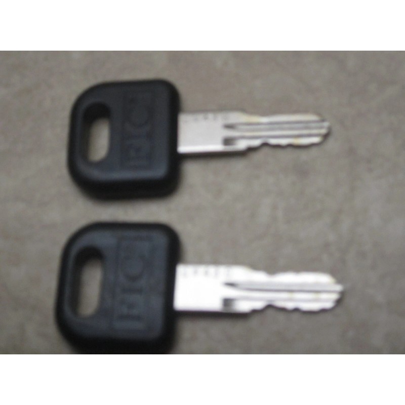 FIC CW430 FIC 2 Keys pr. RV Entry Door Lock