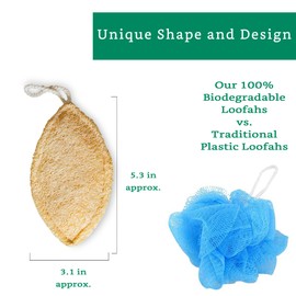 Natural Loofah Exfoliating Sponge (4 Pack) - Loofa Exfoliating Body Scrubber - Biodegradable Organic Loofah Sponge - Shower Luffa Sponges - Shower Lufa - Estropajos para el Cuerpo