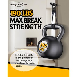 8 Inch Short Small Carabiner Bungee Cord with 190 Lbs Max Break Strength, 8 Pcs Black Mini UV Resistant Bungee Straps with Upgraded Carabiner Hooks, Great for Cargo, Bike, Kayak Boat, Luggage, etc