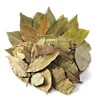 신선약초 월계수잎 230g Fresh Herbal Bay Leaves 230g