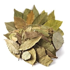 신선약초  월계수잎 230g Fresh Herbal Bay Leaves 230g