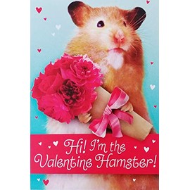 Greeting Card I'm The Valentine Hamster - Cute Happy Valentine's Day